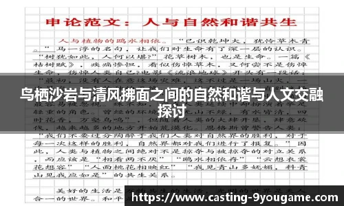 鸟栖沙岩与清风拂面之间的自然和谐与人文交融探讨